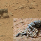 Imagen para el artículo titulado Todas las piedras que demuestran que hubo una civilización alienígena en Marte, según los ufólogos